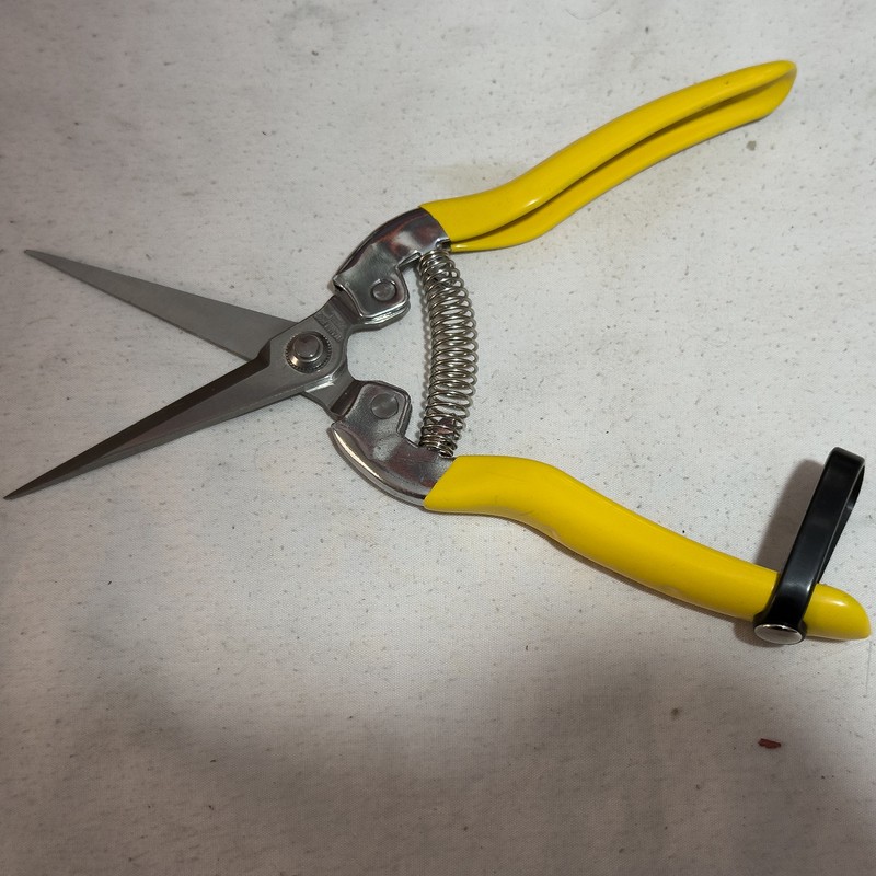 قیچی میوه چینی تاپکس مدل SMT-8008-TOPEX سایز 8 اینچ
