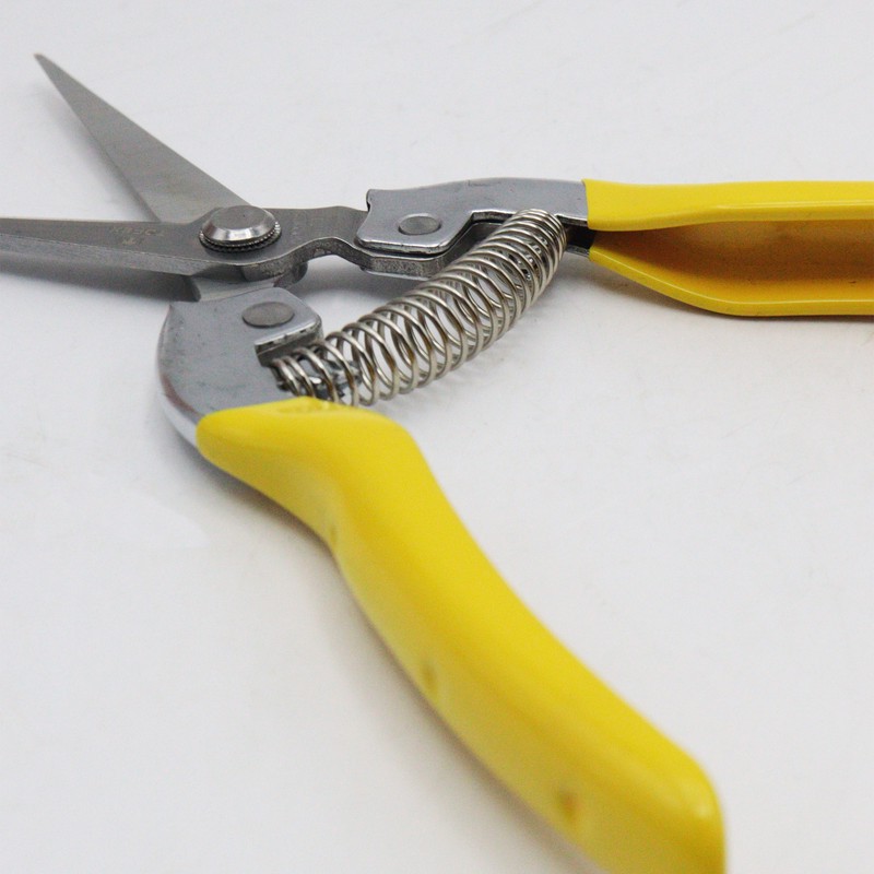 قیچی میوه چینی تاپکس مدل سر صاف کد YP-TP8008-BOLAND-200 سایز 8 اینچ