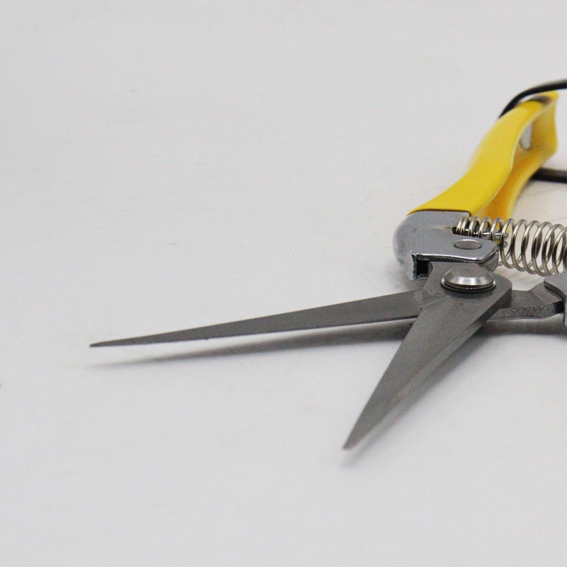 قیچی میوه چینی تاپکس مدل سر صاف کد YP-TP8008-BOLAND-200 سایز 8 اینچ