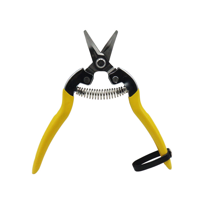 قیچی میوه چینی تاپکس مدل سرکج کد YP-KOTAH-TP-8006-165MM سایز 6.5 اینچ