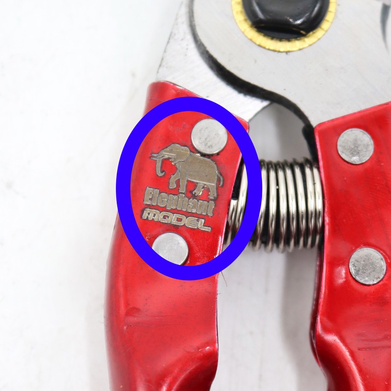 قیچی باغبانی مدل الفنت کد YPH-GH-Z-21CM