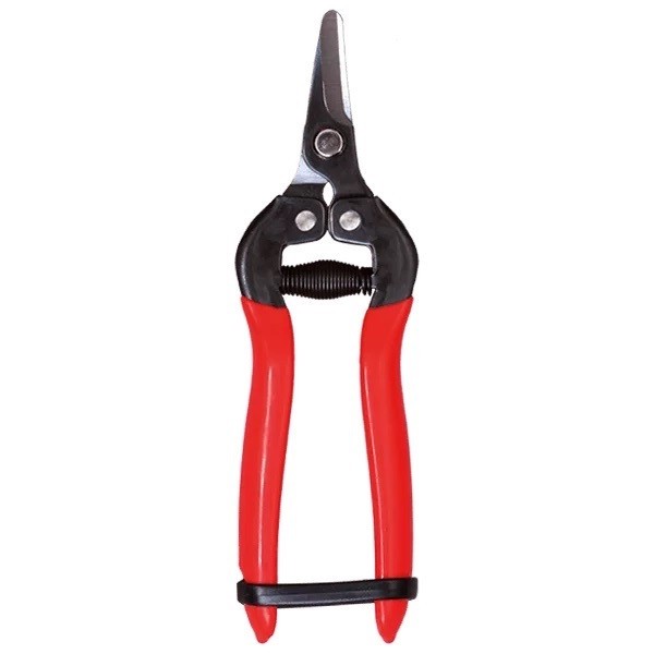 قیچی میوه چینی مدل sumio-3164c
