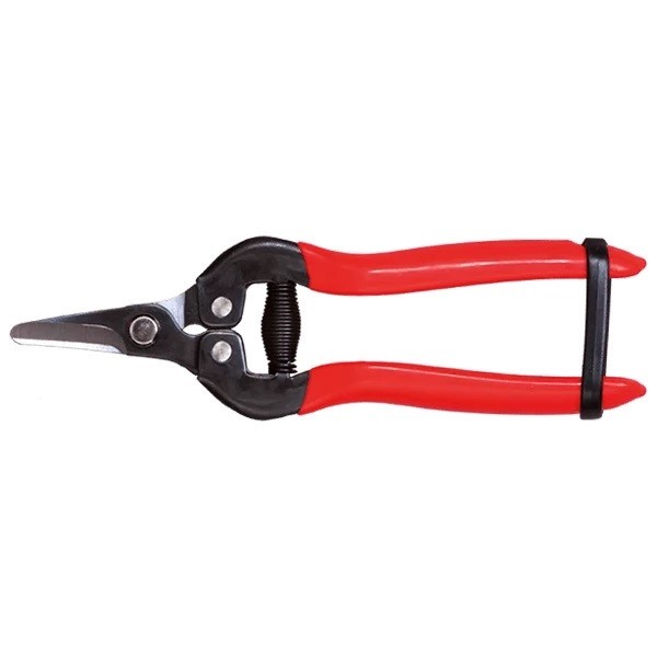 قیچی میوه چینی مدل sumio-3164c