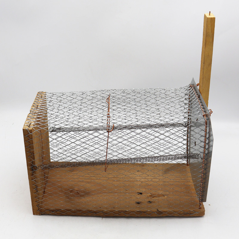 تله موش مدل پرشین کت کد YPM-30CM