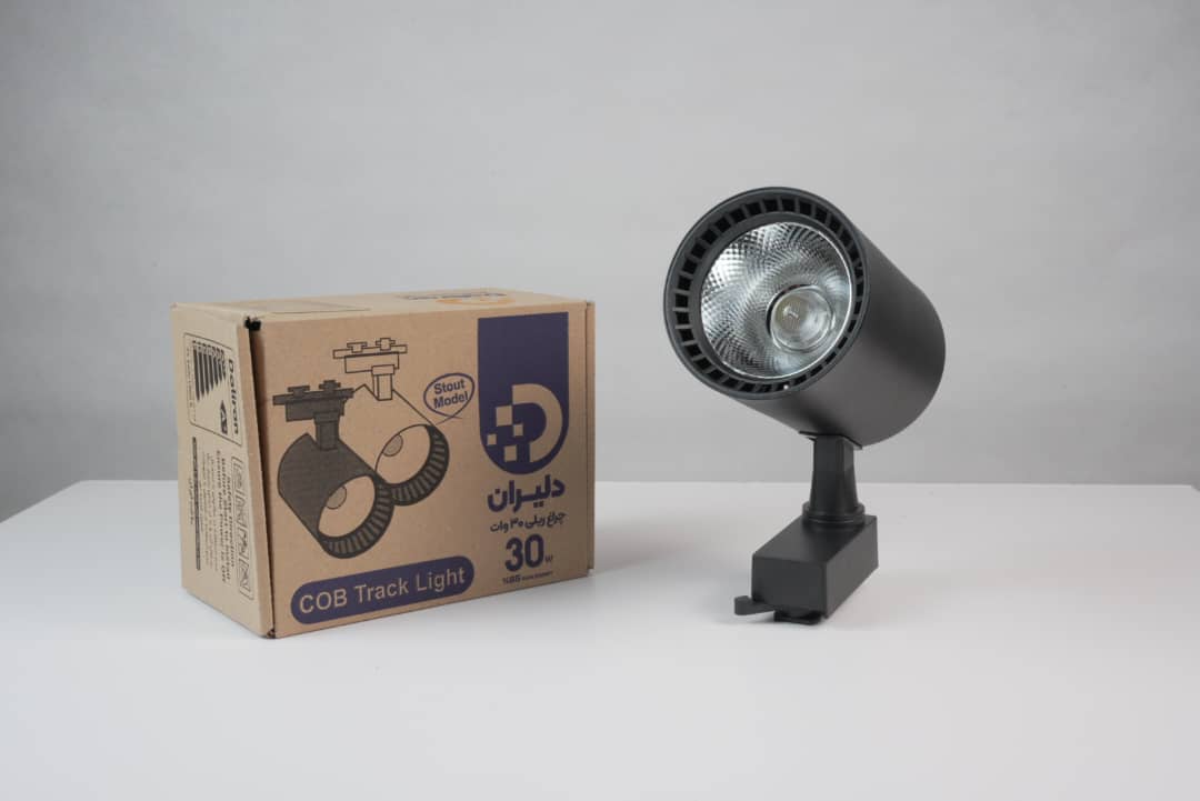 پرژکتور ریلی 30 وات ایرانی (پس کرایه)
