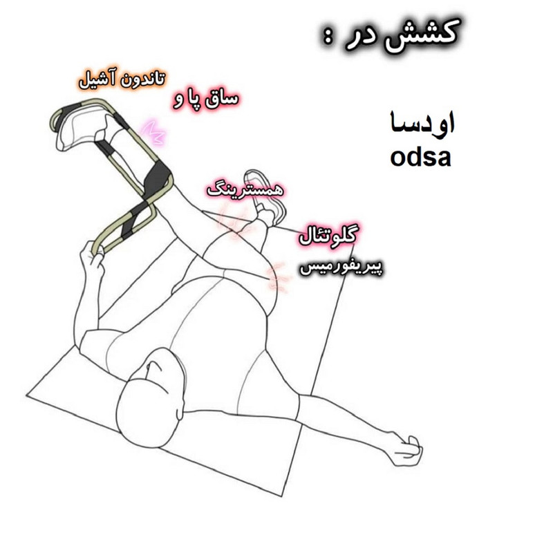 دستگاه کشش عضلات همسترینگ اودسا مدل M1