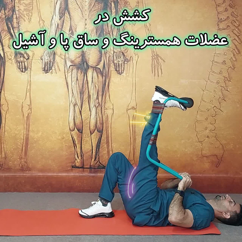 دستگاه کشش عضلات همسترینگ اودسا مدل M1