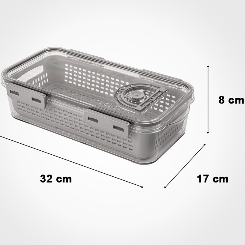 ظرف نگهدارنده لیمون مدل تاریخ دار کد DH2377