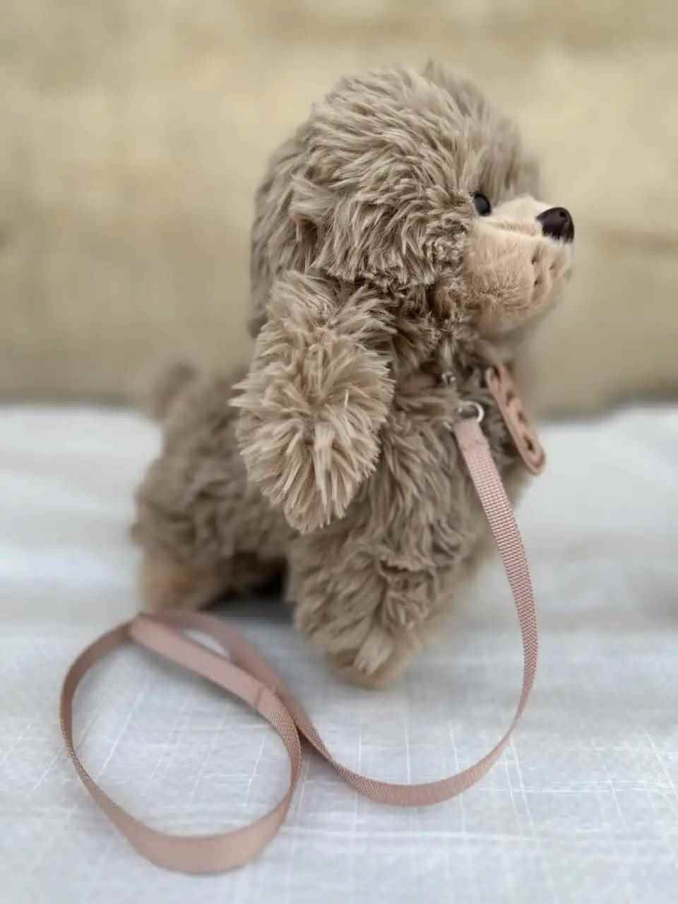 سگ قلاده ایی (7-2924) پولیشی