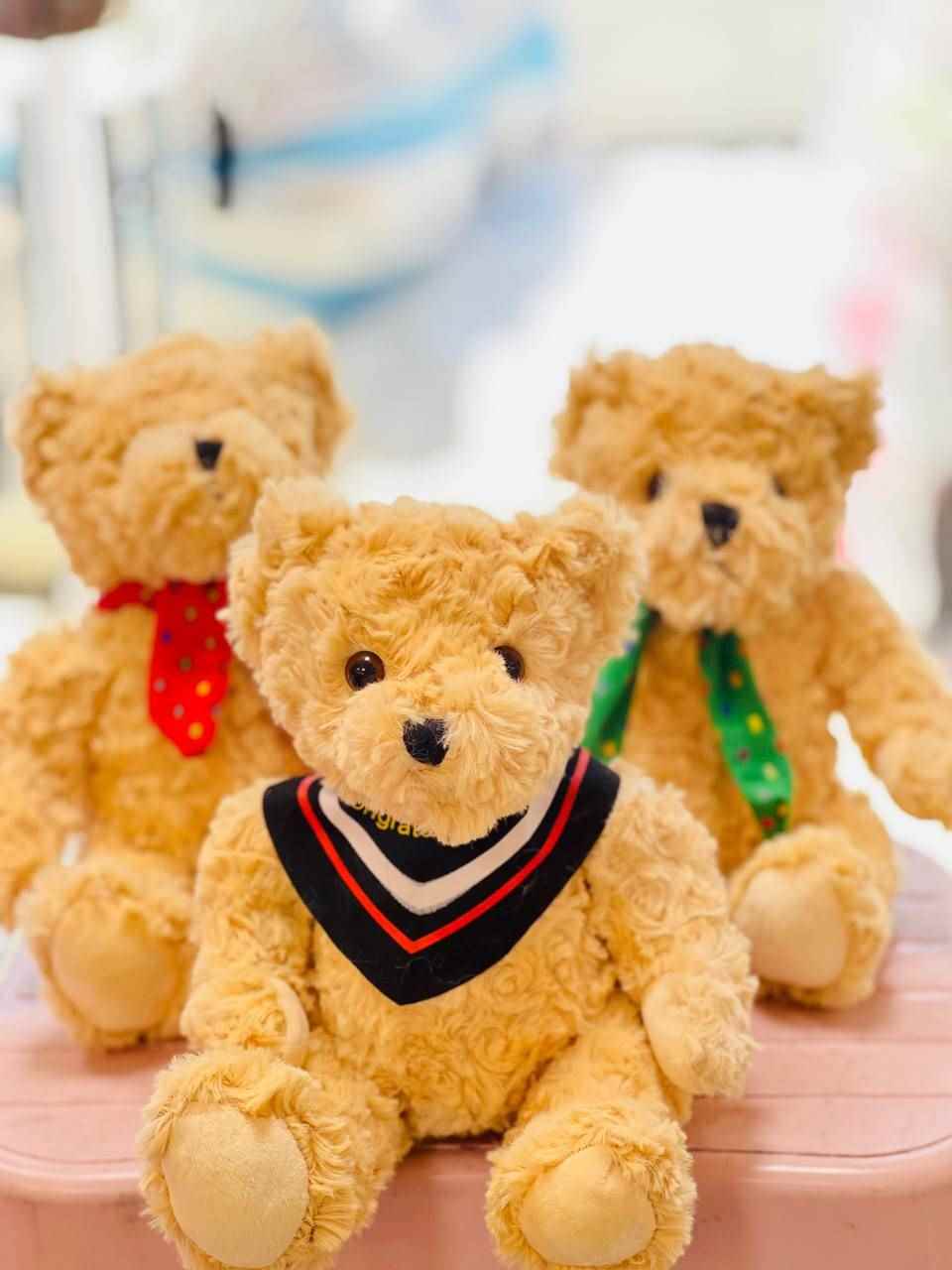 خرس ایستاده پیشبنددار پولیشی