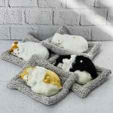 گربه بالشتی سایز 1 پولیشی