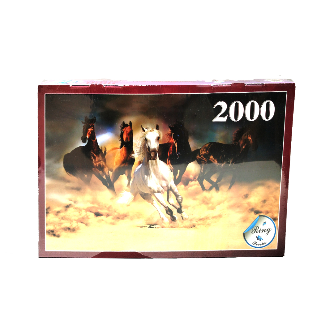 پازل 2000 تکه جعبه ای 20003 رینگ