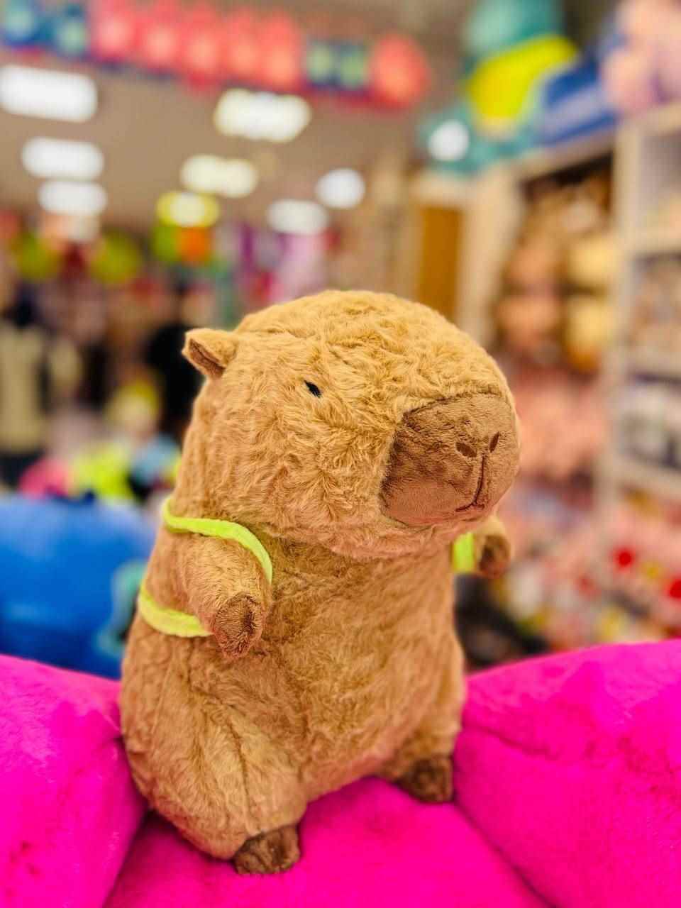 کیی بارا پولیشی