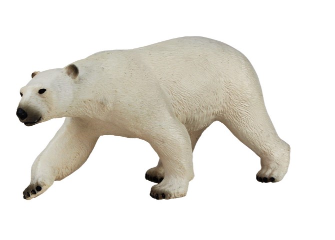خرس قطبی مک توی