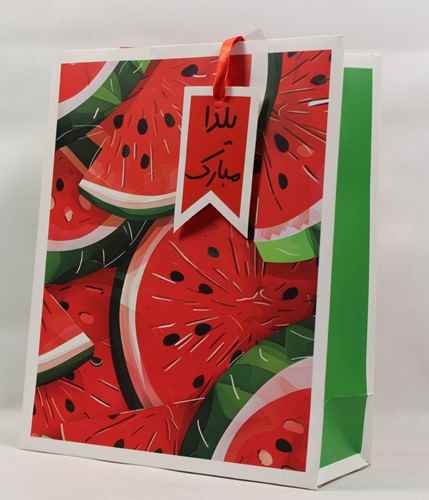 ساک دستی مقوایی دسته دار طرح هندوانه 12*26*33 صبا 